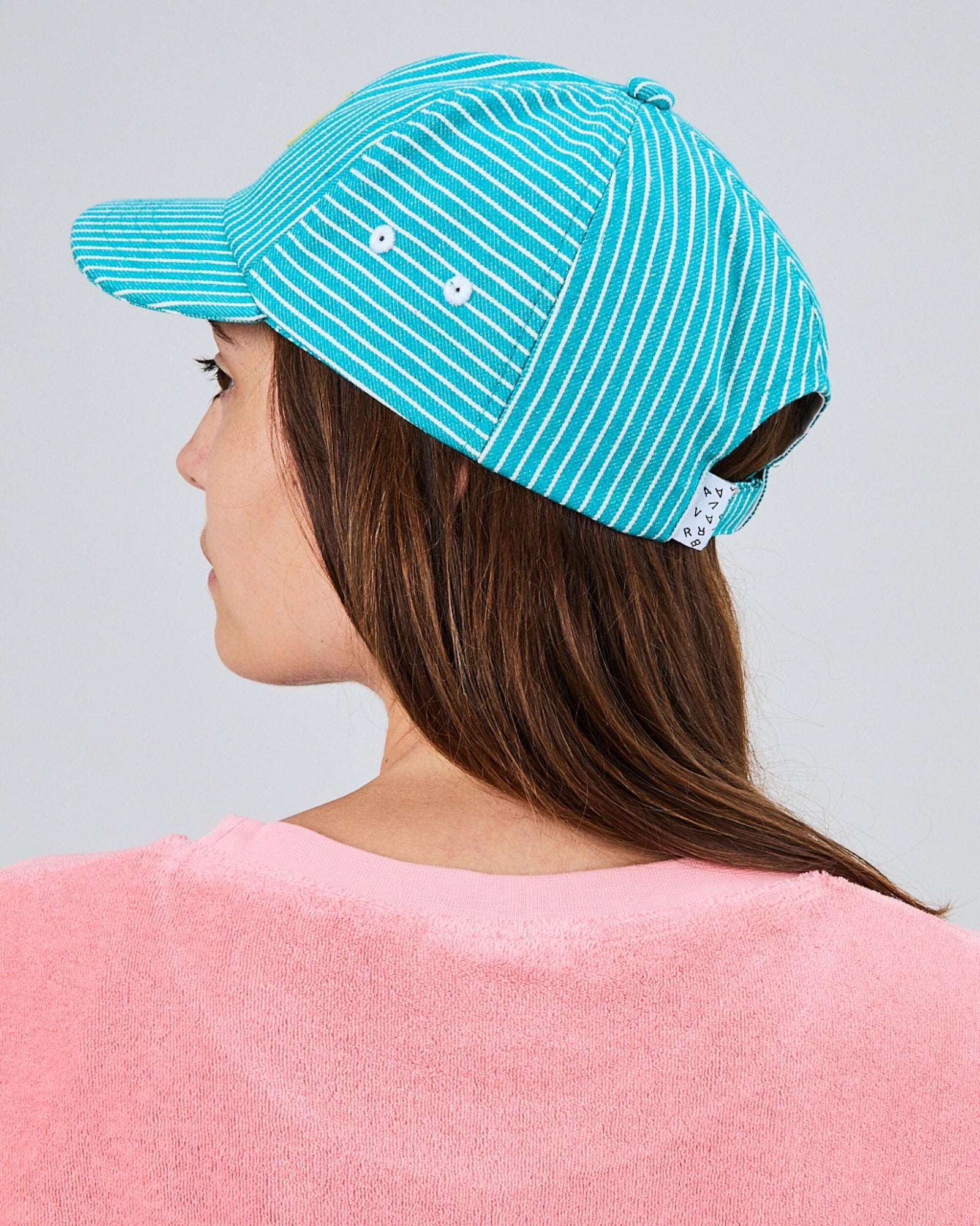 Denim Stripes Pixel Dolphin cap